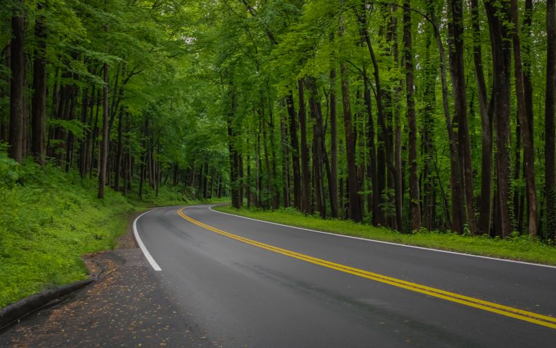Road Coating Service in Tampa, FL